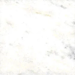 Amostra de Mármore Branco Especial
